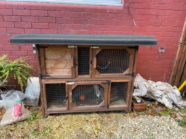 Rabbit hutch 
