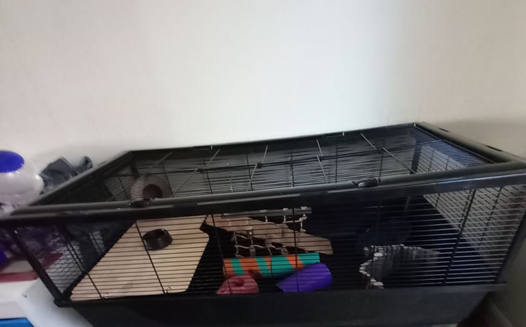 Hamster Cage