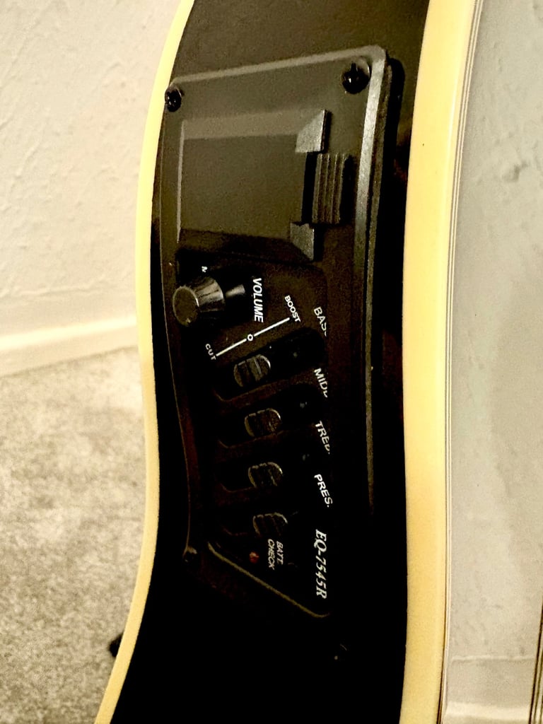 Hummingbird Slimline Electro Acoustic Dreadnought Guitar - Johnny Cash Style 😎🎸🎶