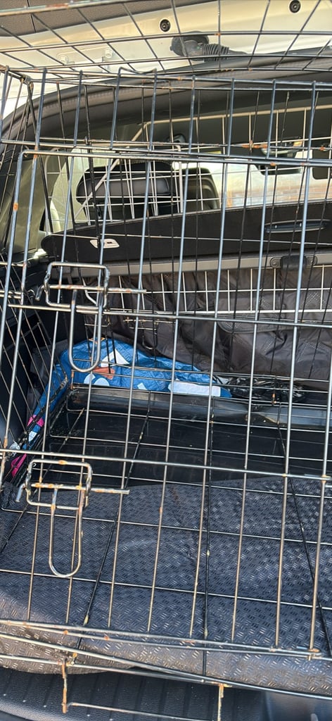 Car boot dog cage 