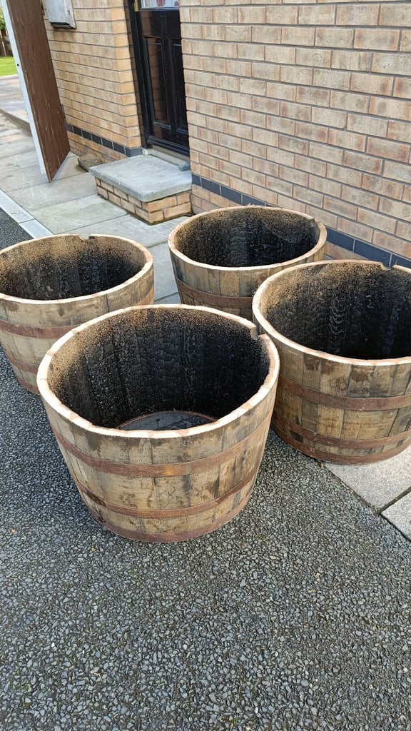 Oak barrel planters £25 each 