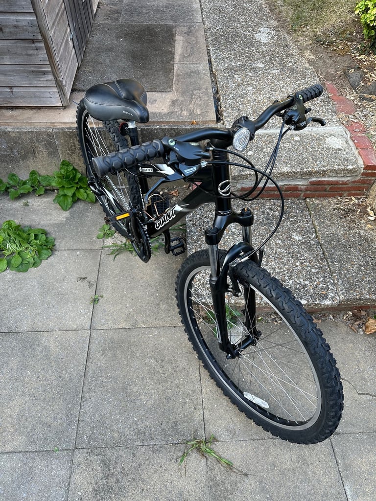 UNISEX GIANT MOUNTAIN BIKE [FULL SERVICE ]