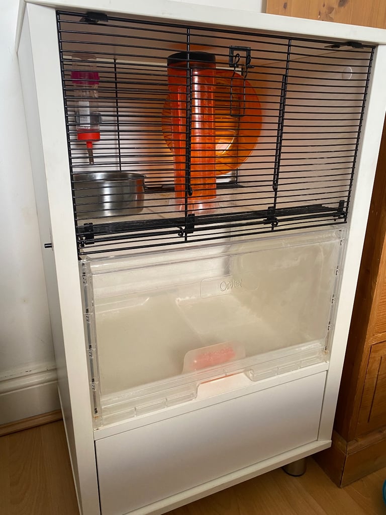 image for Cage Hamster and more