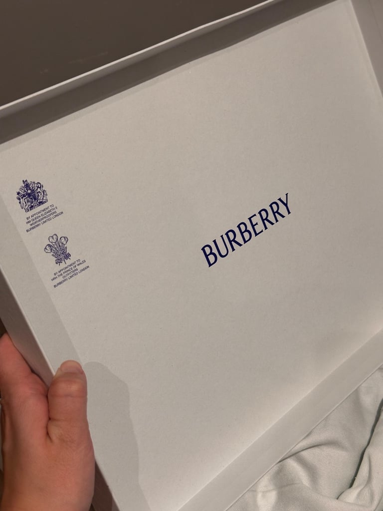 Burberry low top trainer on rubber sole
