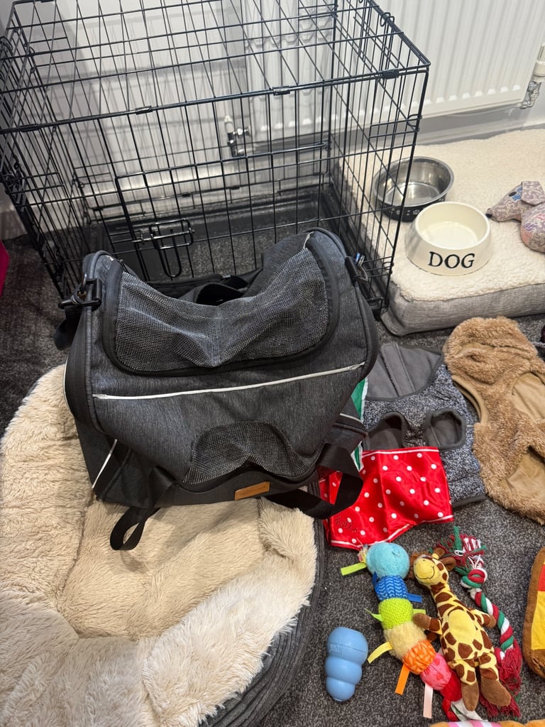 Small dog Accessories bundle