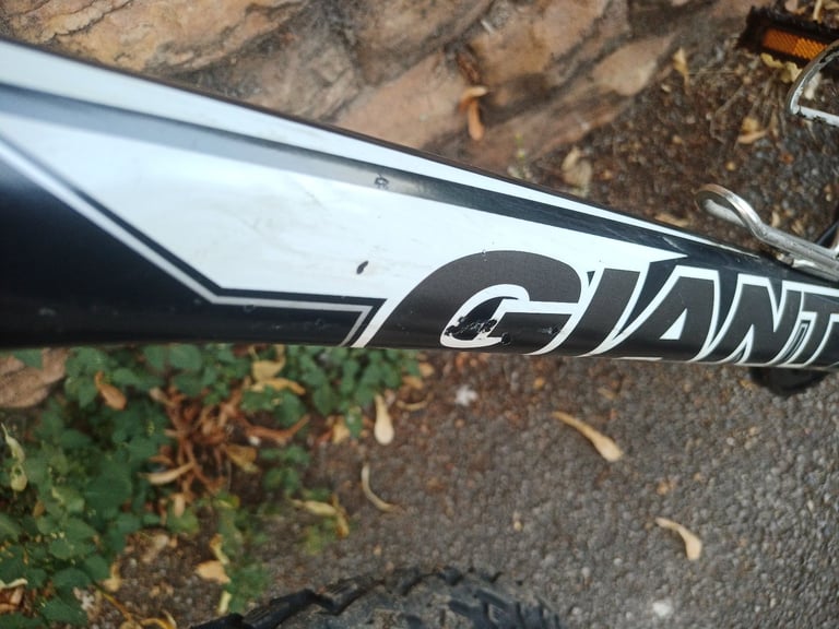 Giant Terrago Large Adults Mountain Bike, Hydraulic Brakes