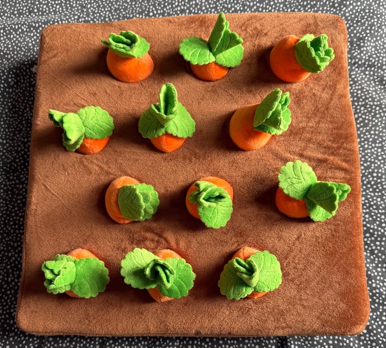 image for Interactive Treat-Hiding Toy for Dogs - Carrot Garden