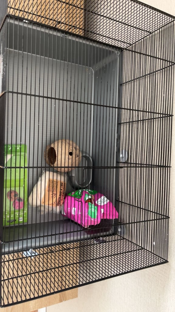 Hamster cage