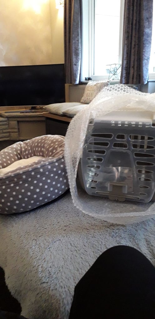 Cat carrier and bed set .