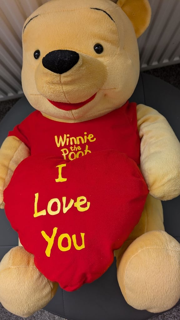 Teddy Winnie the Pooh Disney bear soft toy stuffed animals 