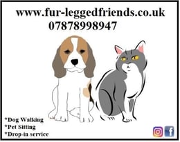 image for Dog Walker & Pet sitter (Carnwath/Biggar areas)