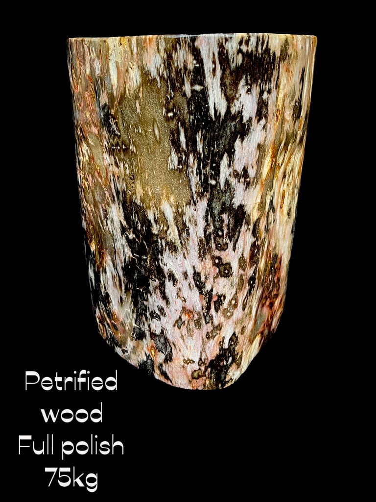 Petrified wood logs