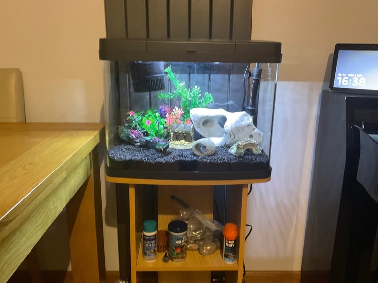 Panorama Aquarium 40L Tropical Fish Tank + Stand + All Accessories (can Deliver) Ready To Use
