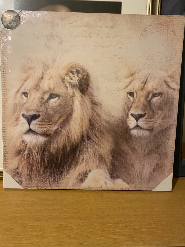 image for Picture of lion