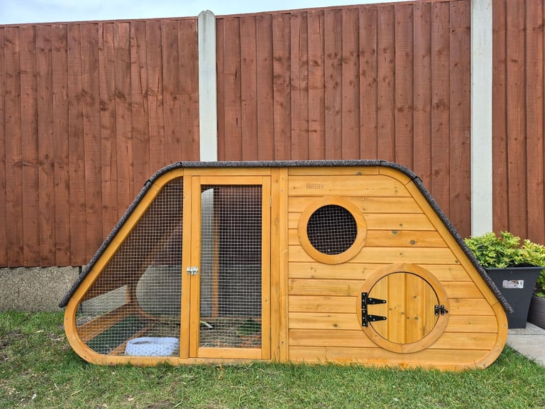 ​Pair of Adorable 14-Week-Old Rabbits with Luxury Hatched® Noah's Ark Hutch - Full Set-Up!