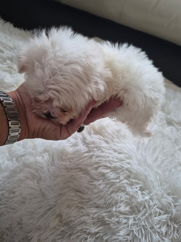 Beijan freeze ready.ready to leave 