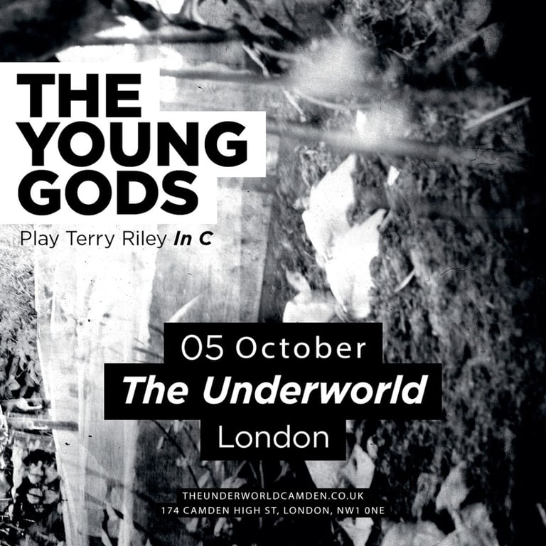 THE YOUNG GODS - LONDON