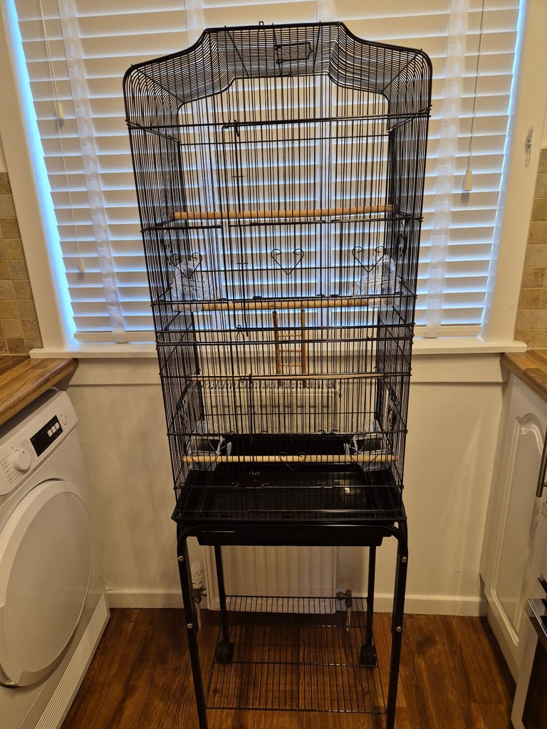 Black Bird Cage