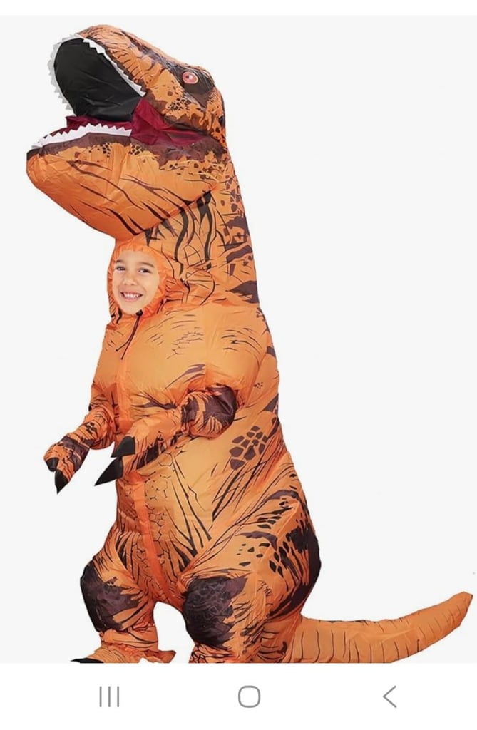 image for Children's Inflatable T-Rex Costume