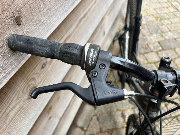 Minerva Road Bike