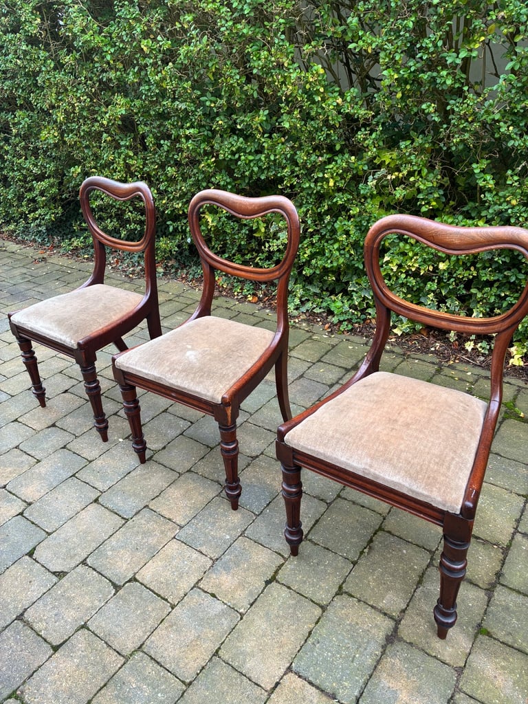 image for Victorian chairs
