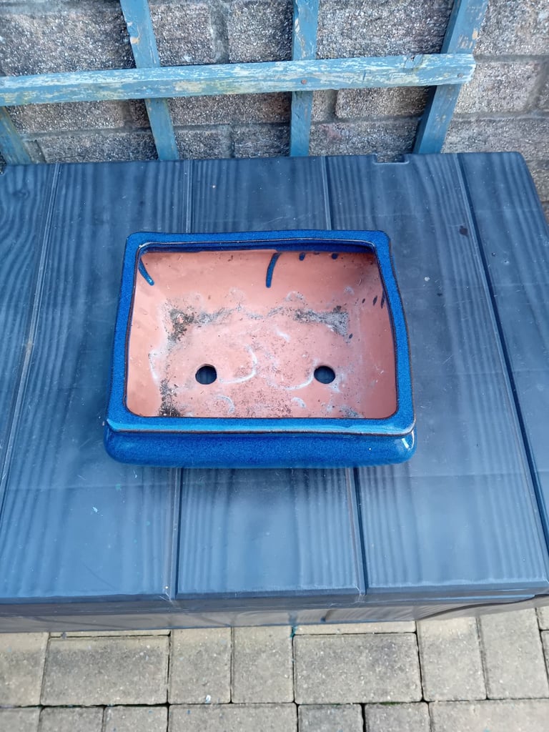 image for Bonsai pot