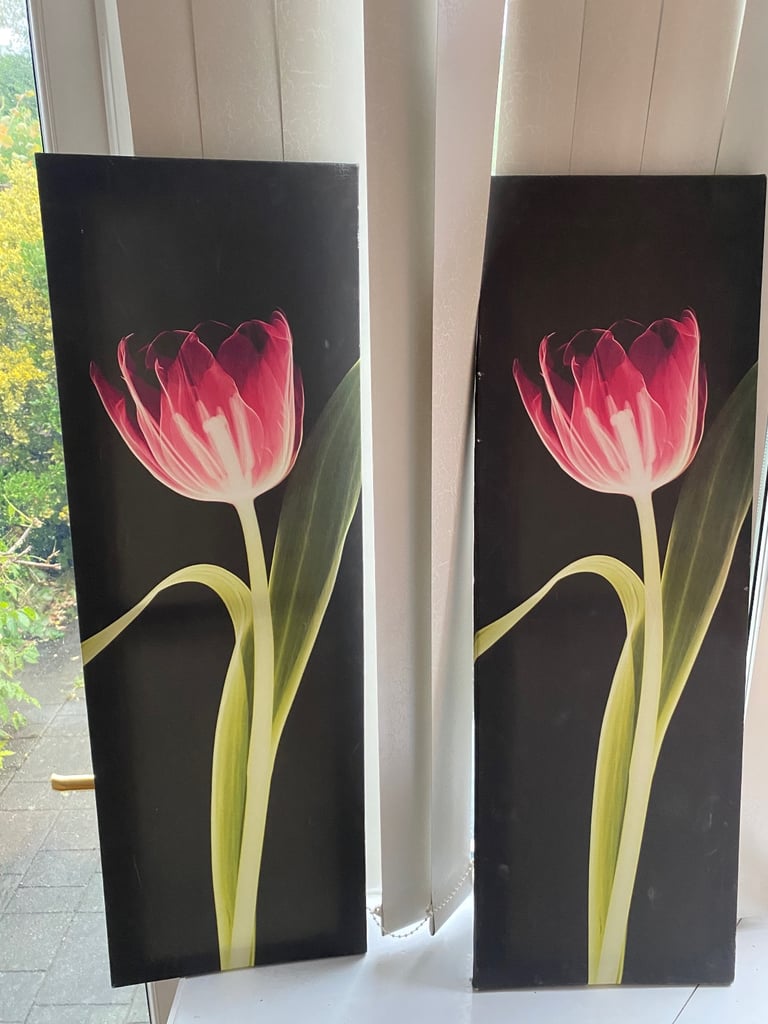 image for Canvass wall deco x 2