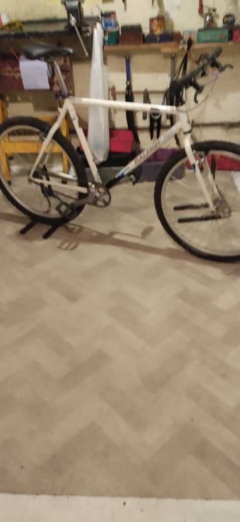 image for Raleigh mountain bike single speed 