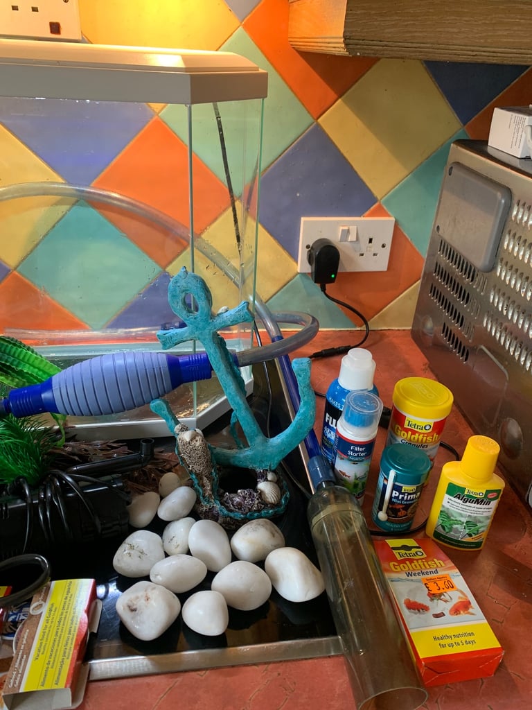 Fishtank and accessories 