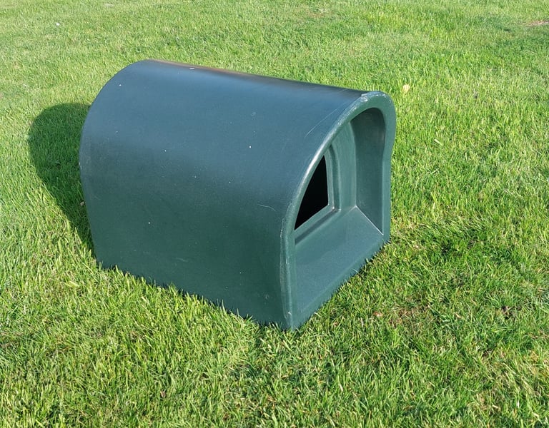 Cat (or small dog) outside kennel/shelter