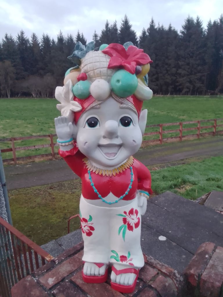 image for Aloha gnome