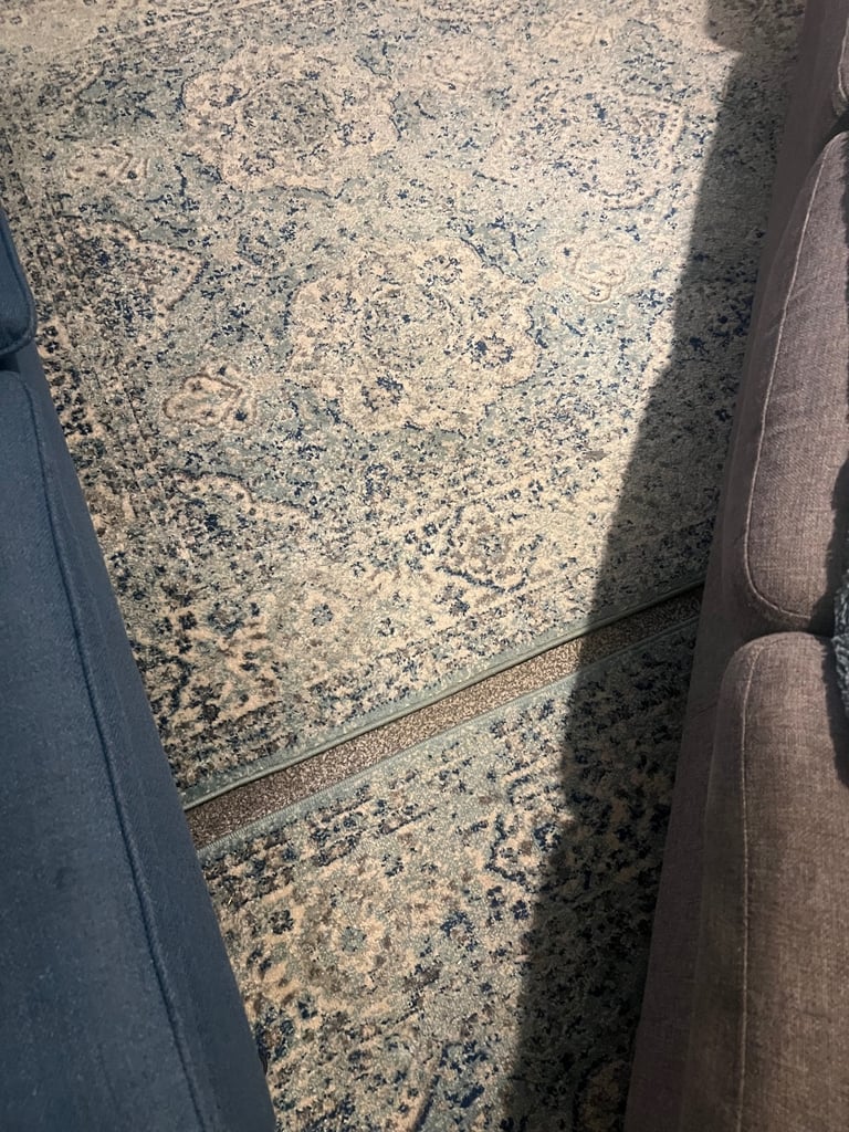 image for 2 x large rugs £40