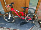 Carrera Blast Kids Mountain Bike