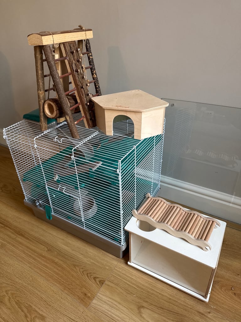 Hamster home for free
