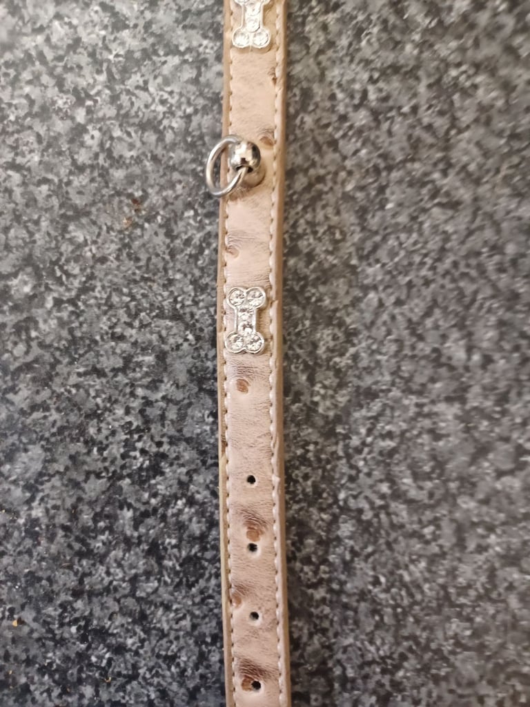 DOG COLLAR - XX Small Diamante Bones