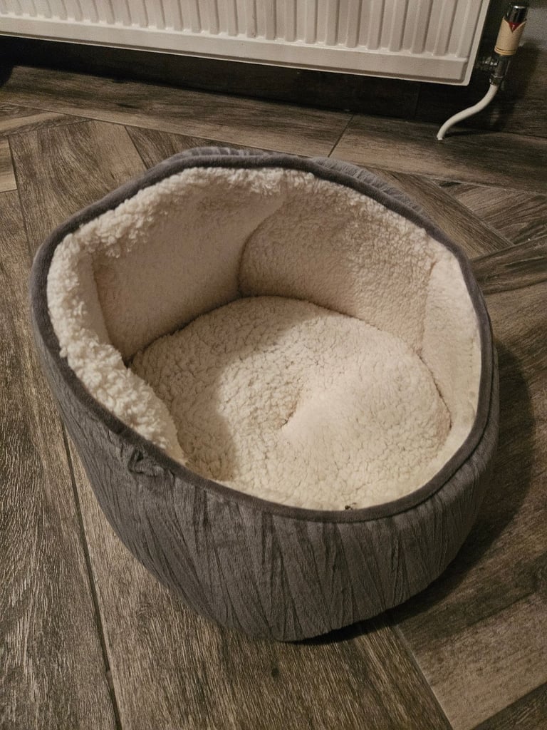 Cat Bed