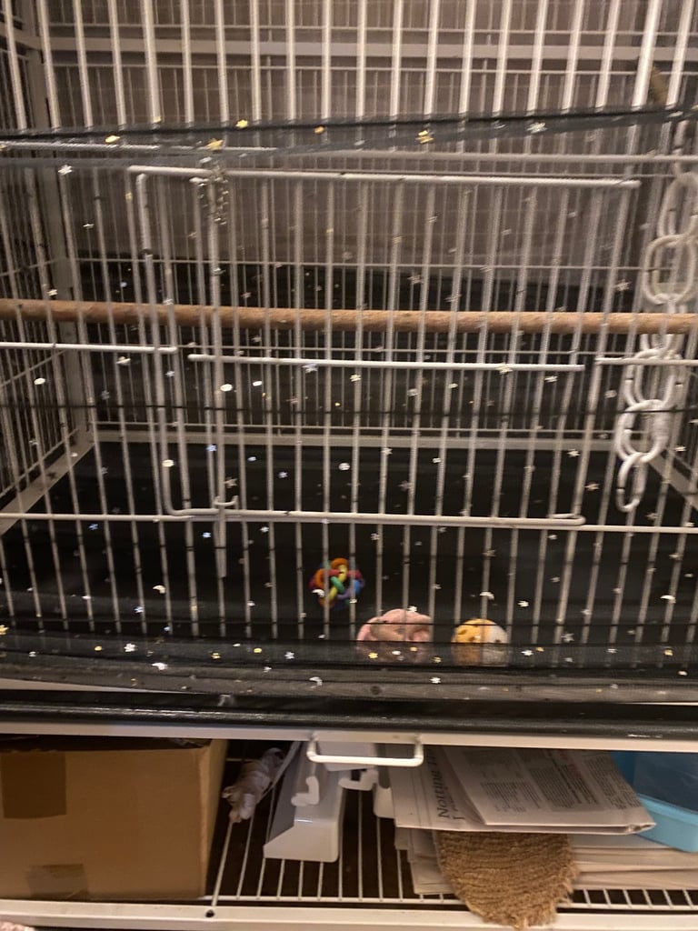 Large white bird cage on wheels and dismantles