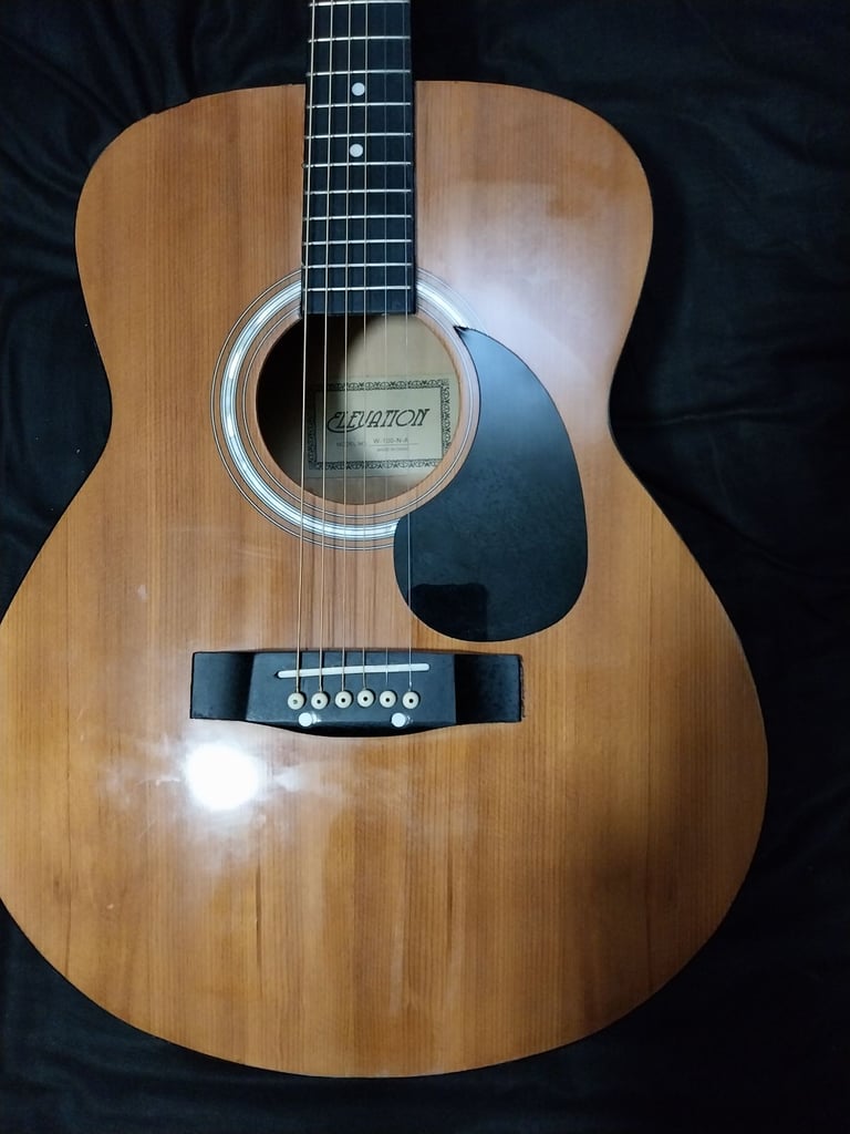 Elevation W100NA full size steel string acoustic guitar