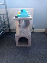 Small cat tower and cat toy