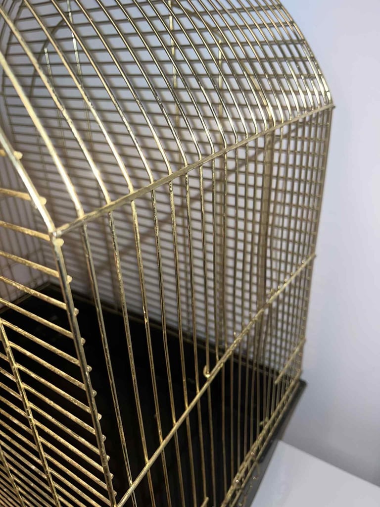 Gold bird cage 