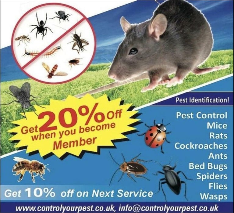image for Pest control Bedbugs Mice Rat cockroaches flies fleas mouse removal 
