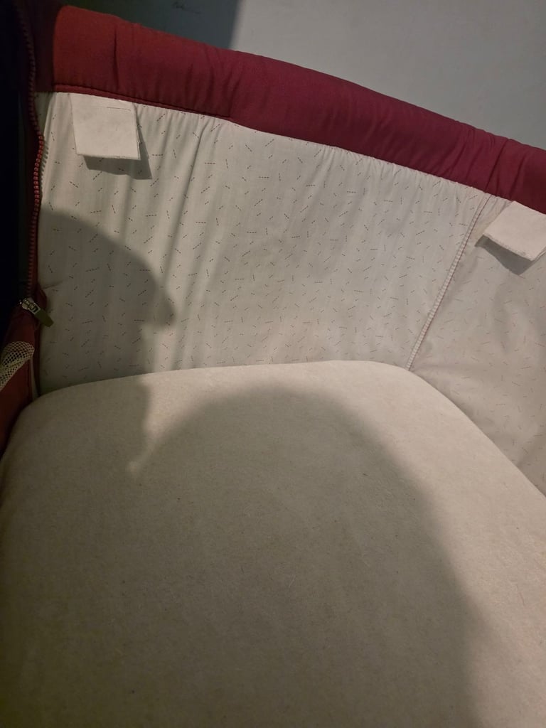 Chicco next to me