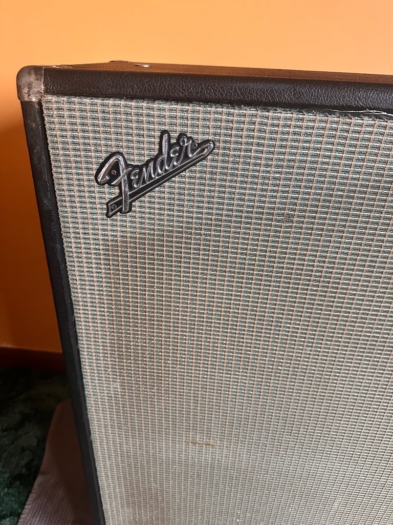 1970s Fender Bassman VT 15’’ Cabinet
