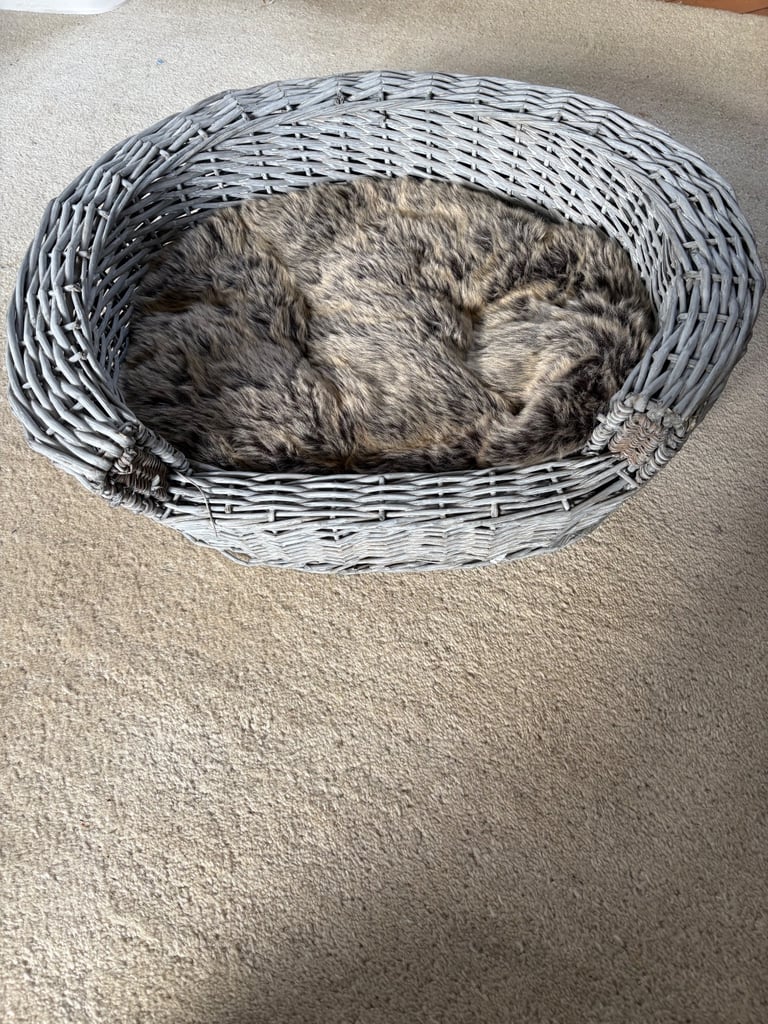 Cat Basket NEW