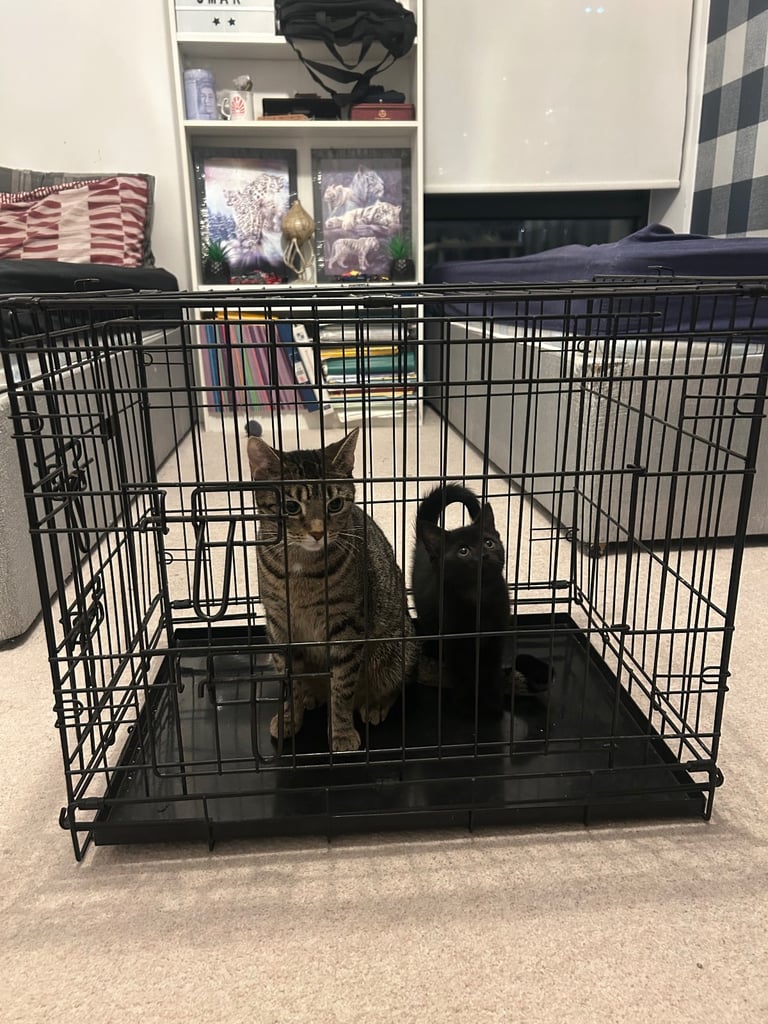 Medium dog/cat cage