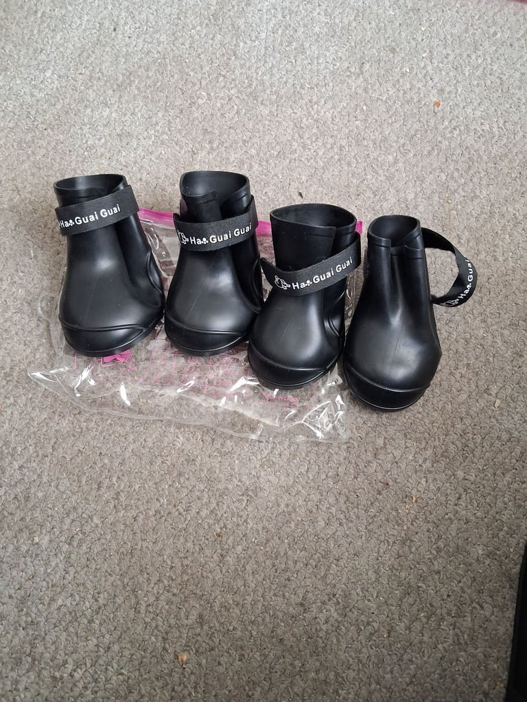 Dog unused GUAI boots £2 single boot
