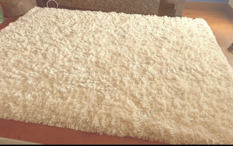 image for Was £179 now £50 XL shaggy rug - Dunelm mill
