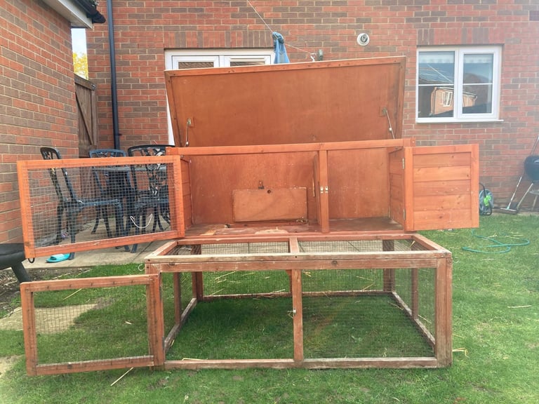 Rabbits - Norwegian Dwarf - With hutch