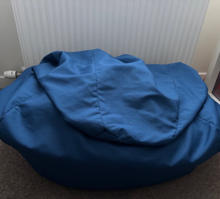 Large beanbag - free