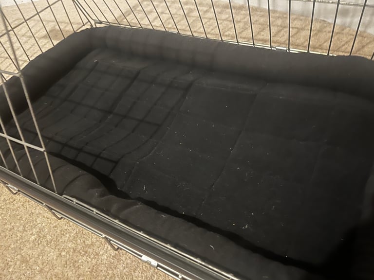 Dog crate - 32”/medium, hatchback